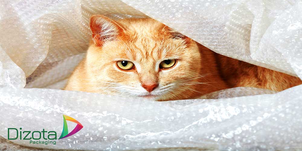 Xốp hơi bong bóng bọc hàng