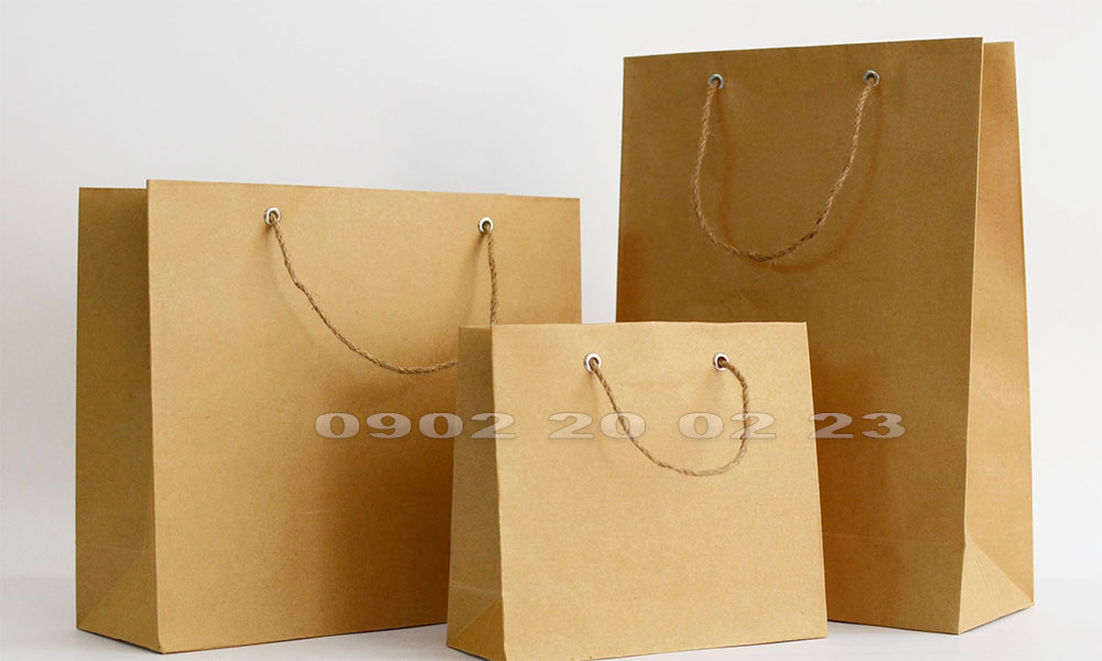 Các loại kích thước túi có quai trơn