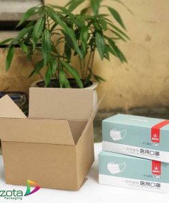 Thùng carton đựng hộp khẩu trang