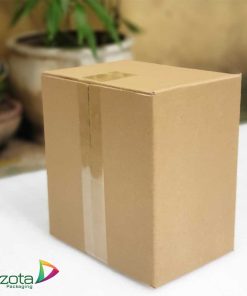 Thùng giấy đựng khẩu trang