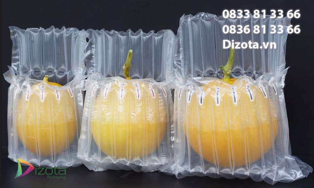 Cột khí chống sốc Dizota