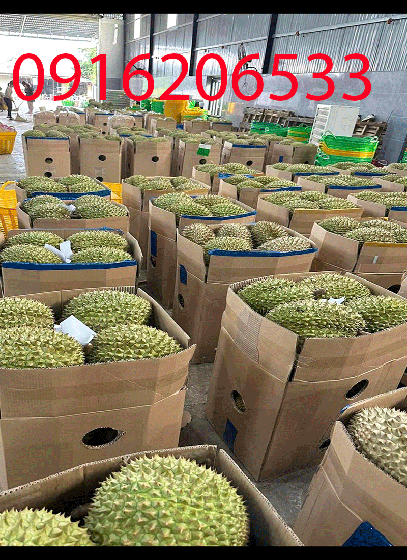 Xưởng hộp carton uy tín tại thanh xuân 