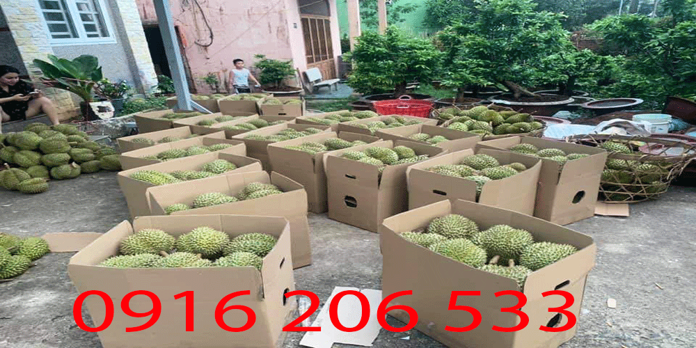 thùng carton chuyển hàng tại bắc từ liêm 